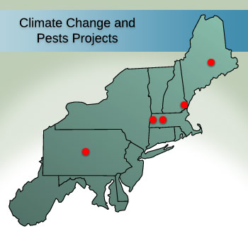 Climate Change and Pests Projects
