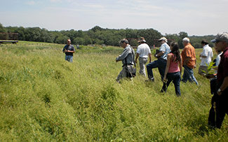 Members of the New England Small Ruminant Working Group walking in a field