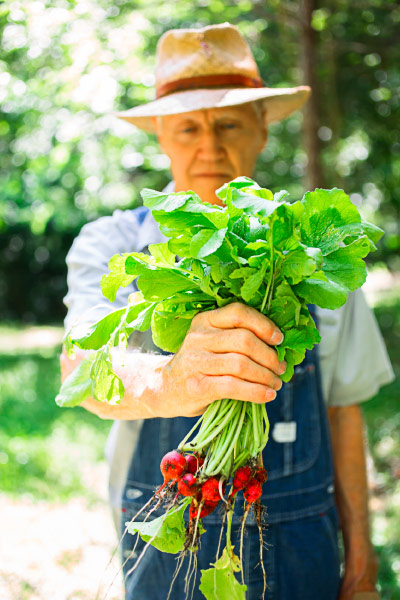 Grower holding radishes