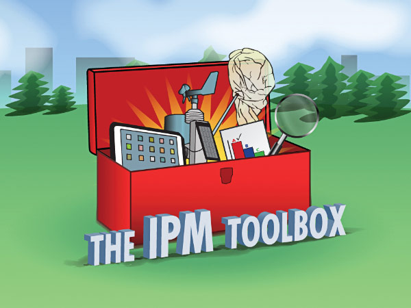 Illustration of an open toolbox in a field.