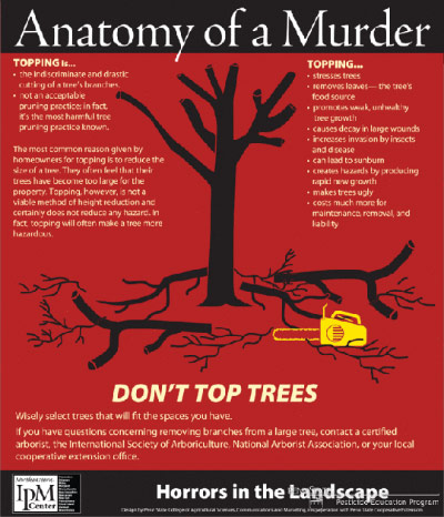 Poster advising against topping trees, based on the film poster for Anatomy of a Murder (1959) by Saul Bass