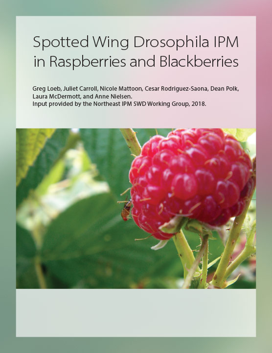 Spotted Wing Drosophila IPM in Raspberries and Blackberries