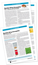 Spotted wing drosophila fact sheets