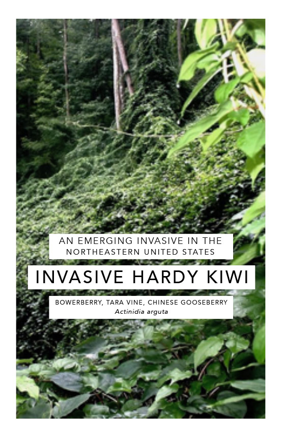 Hardy kiwi handbook