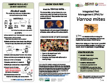 Varroa Mite IPM Brochure
