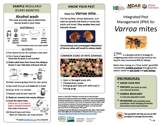 Varroa Mite IPM