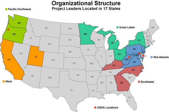 BMSB project organizational structure map