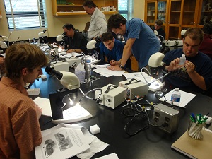 Researchers participate in a hands-on exercise.
