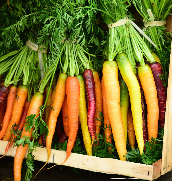 Colorful carrots