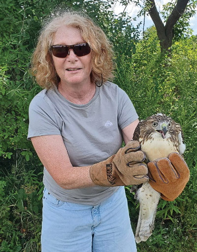 Nancy Cusumano holding a hawk.