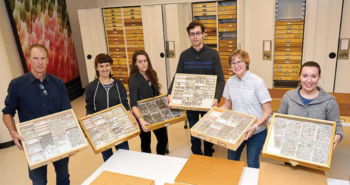 Six people, including Bryan Danforth at left, hold display cases of bee specimens