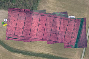 A mosaic of aerial images showing field conditions
