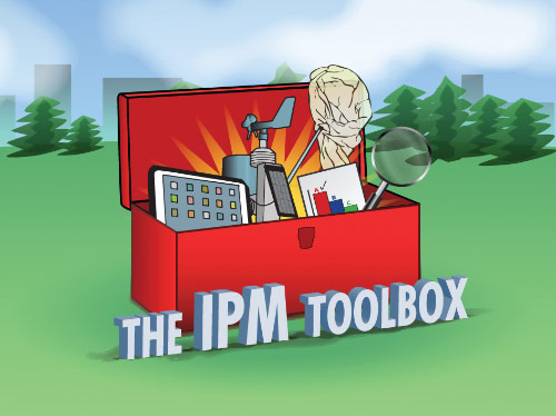 The IPM Toolbox