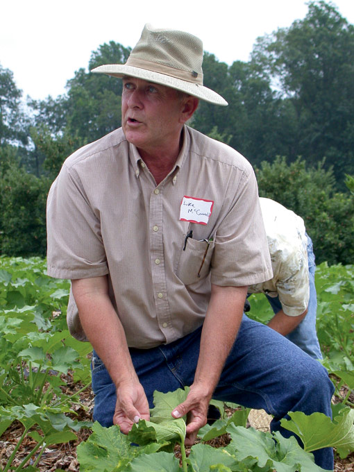 Agricultural consultant Luke McConnell scouting for pests in a field.