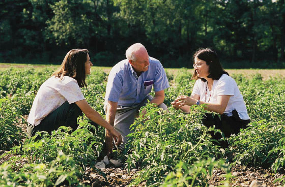 Martha Mutschler (right) and Tom Zitter in a field with Northeastern IPM Center director Carrie Koplinka-Loehr