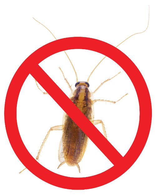 Cockroach within a no symbol (prohibition sign)