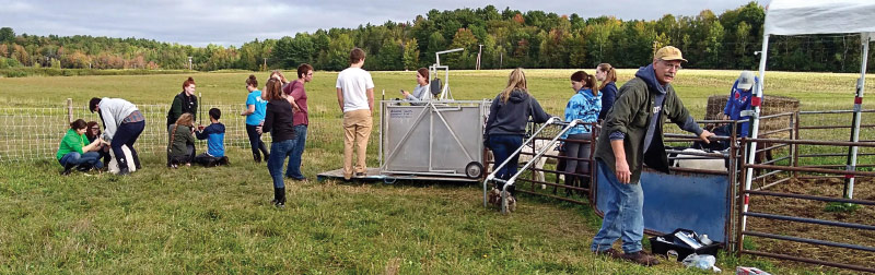 Small ruminant producers in a pasture