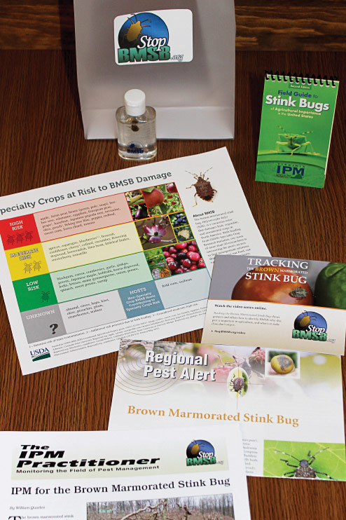 Stink bug ID kit.