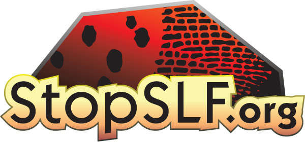 StopSLF.org icon