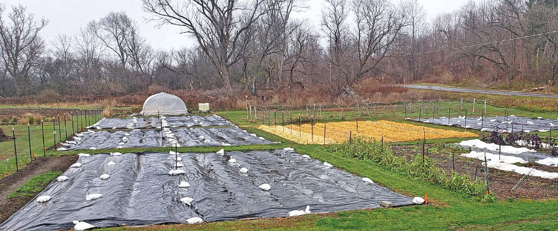 Tarps being used to cover beds and being integrated into field planning at Centurion Farm