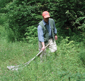Sweeping through the brush to find ticks
