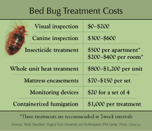 bed bug treatment