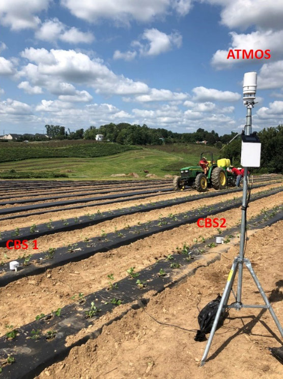 Environmental sensors in a field