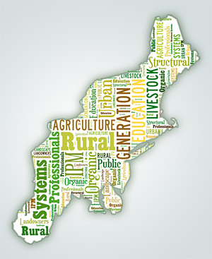 Map of the Northeast overlaid IPM-related words