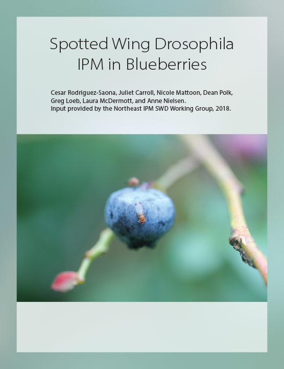 Spotted Wing Drosophila IPM in Blueberries