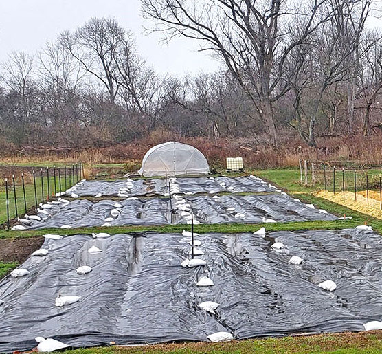 Tarping in the Northeast