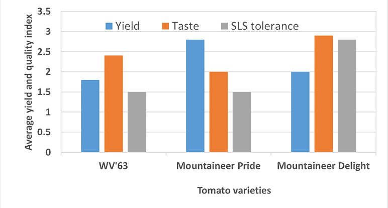 Graph comparing tomato varieties