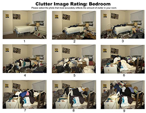 The CIR scale was created by the Hoarding Center of the International Obsessive Compulsive Disorder Foundation to better diagnose and classify symptoms of hoarding.