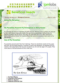 Screenshot of beneficial insects web page
