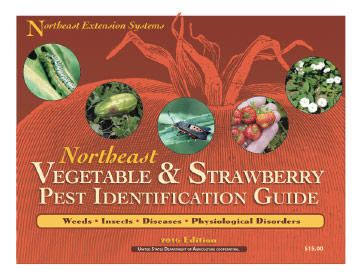 Northeast Vegetable and Strawberry Pest Identification Guide