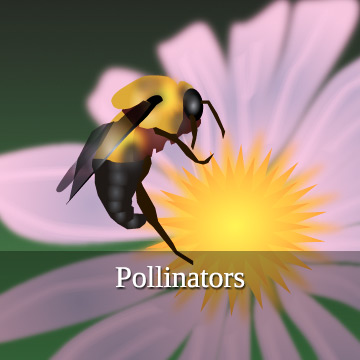 Pollinators