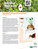 Spotted Wing Drosophila Pest Alert
