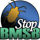 Stop BMSB