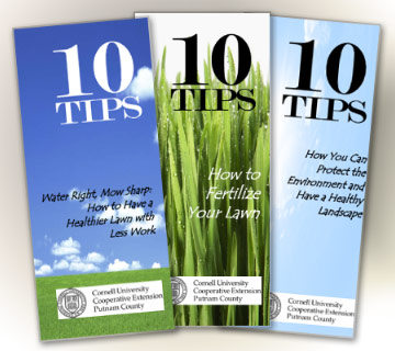 Ten Tips Brochures