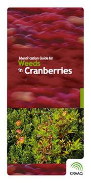 Weeds in Cranberries