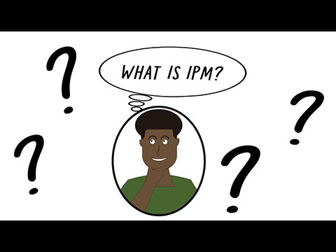 What Is IPM?