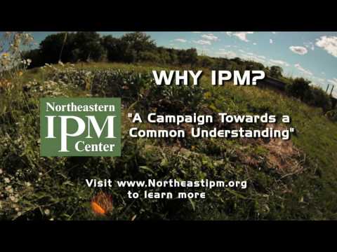Why IPM?