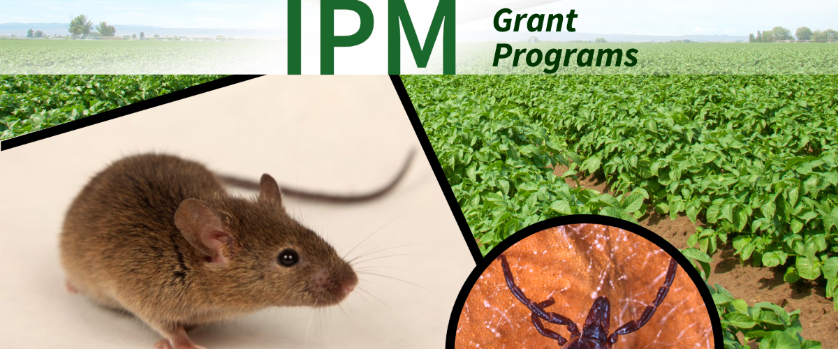 Northeastern IPM Center Announces Recipients of 2023 Partnership Grants
