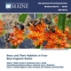 Bees and Their Habitats in Four New England States