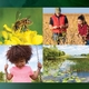 Call for Nominations: 2023 Outstanding Achievements in Integrated Pest Management Award