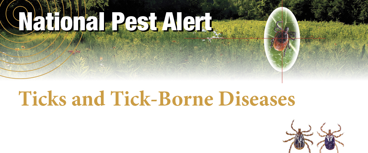 Ticks and Tick-Borne Diseases: Updated Pest Alert