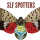 Program Conducts Measurable Outreach against Spotted Lanternfly