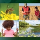 Call for Nominations: 2022 Outstanding Achievements in Integrated Pest Management Award