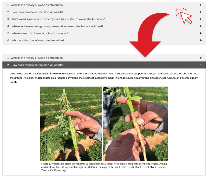 Screen image of GROW website showing accordion navigation.