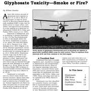 Glyphosate Toxicity: Smoke or Fire?