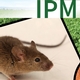 Northeastern IPM Center Announces Recipients of 2021 Partnership Grants